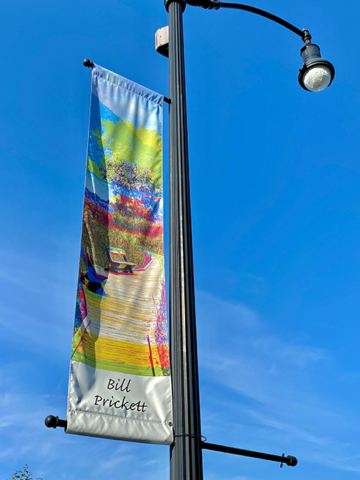 Bill Pricket Banner of swamp river boardwalk against deep blue sky