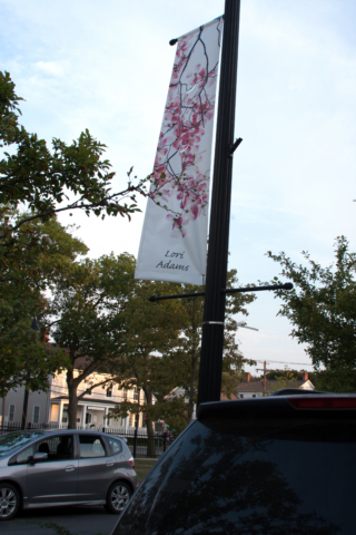 Lori Adams banner with pink spring dogwood blossoms