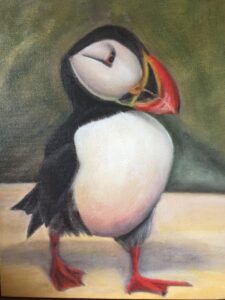 black and white puffin with orange beak and legs walking