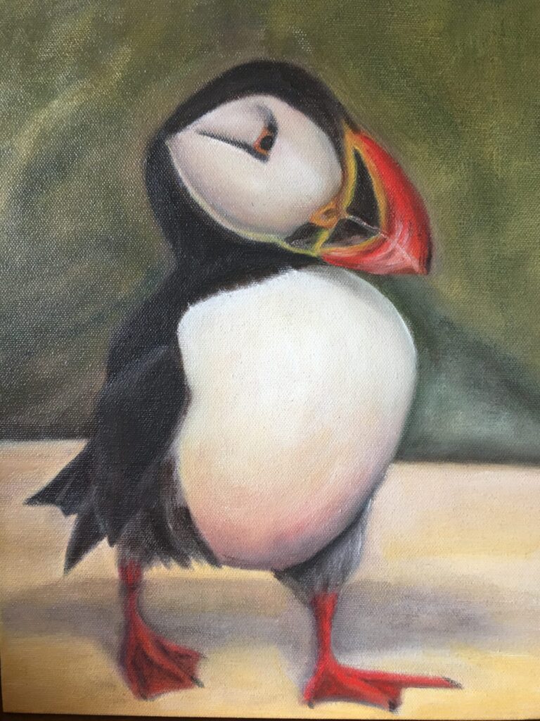 black and white puffin with orange beak and legs walking
