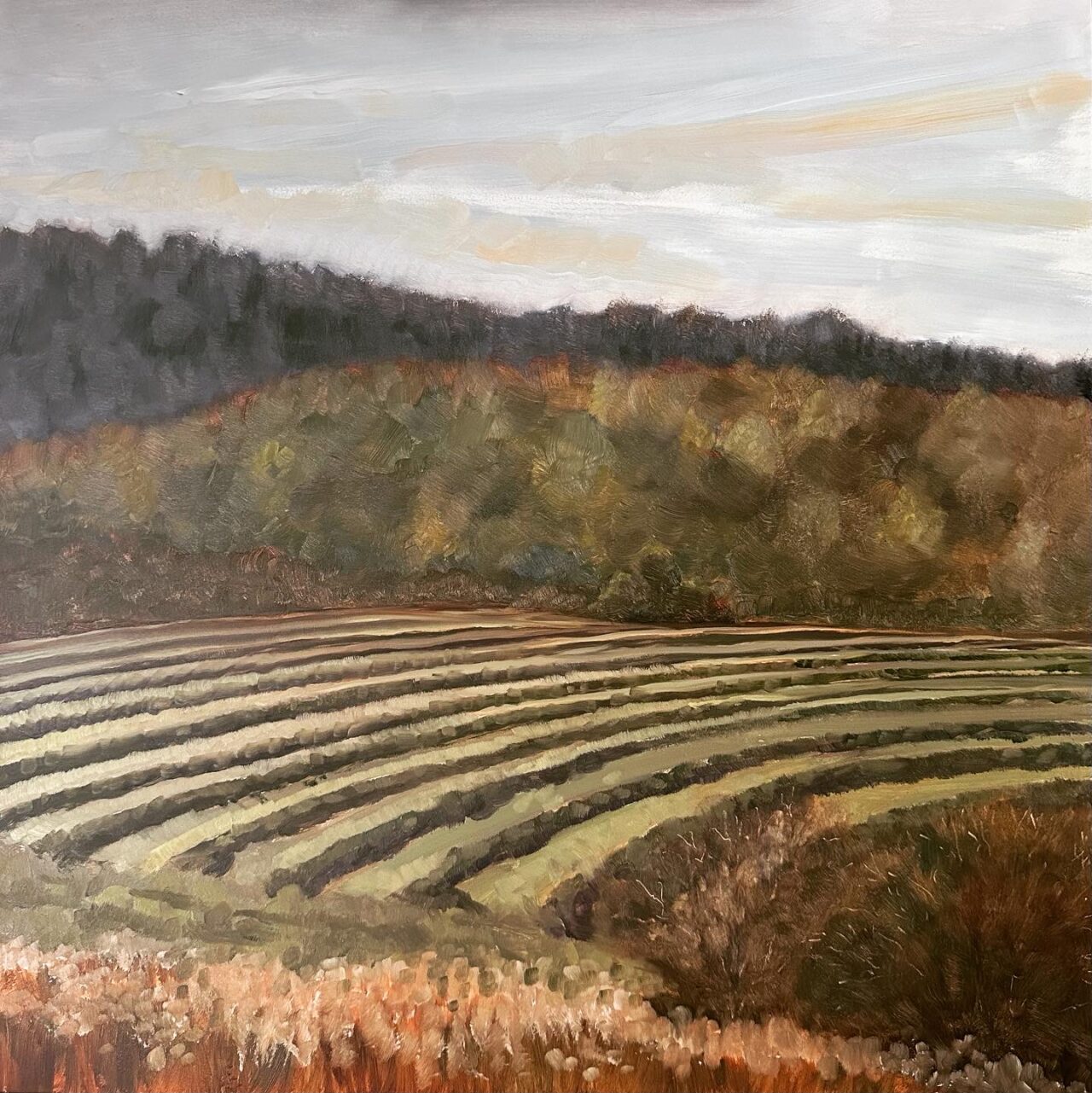 Hay mowed field against the backdrop of hills