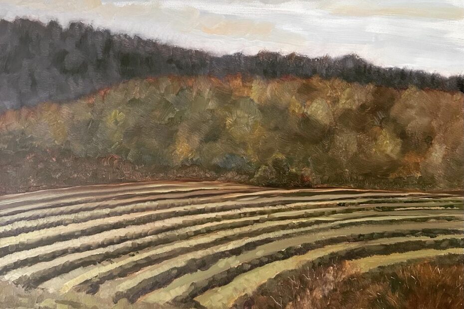 Hay mowed field against the backdrop of hills