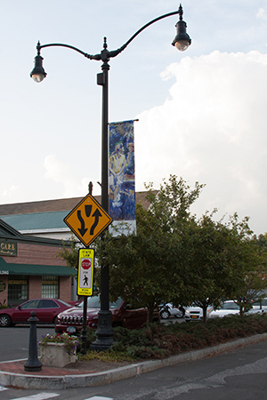 Susan Hennelly's bannner with women in mostly blue hues on light pole