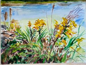 watercolor on paper- Goldenrod at pond's edge