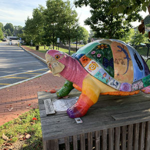 colorful fiberglass multi artist painted turtle in the village of Pawling