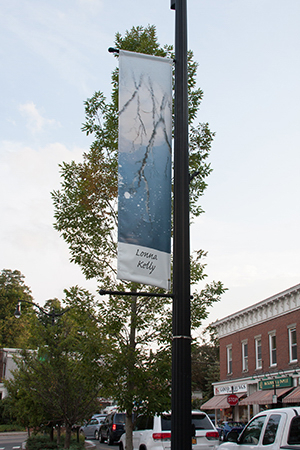 Lonna Kelly's blue banner with trees and sky reflected in blue ice