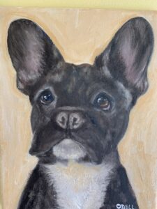 portrait of small black dog with large ears and white markings