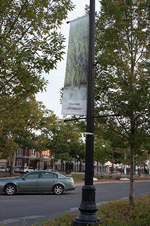 Doreen OConnor's banner with streamside reeds on treelined street