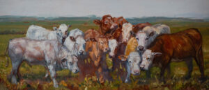 Group of cows mugging it up for the artist