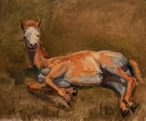 Baby horse laying in the grass, sleepily lifting its head toward the observer.