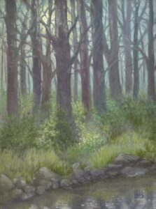 The moon peeking thru the trees and illuminating the green vegetation at the edge of a stream in the woods