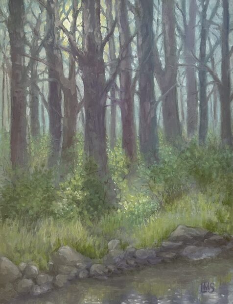 The moon peeking thru the trees and illuminating the green vegetation at the edge of a stream in the woods