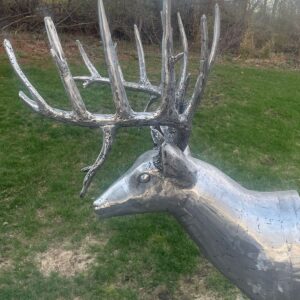King of the Woods - Life size Whitetail Deer head and shoulder sculpture. Made from 18- gauge steel