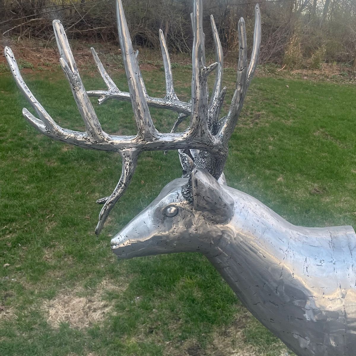 King of the Woods - Life size Whitetail Deer head and shoulder sculpture. Made from 18- gauge steel