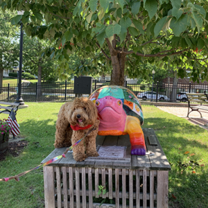 Large fiberglass turtle colorfully painted by ArtEast artists in 2017 with a little dog 