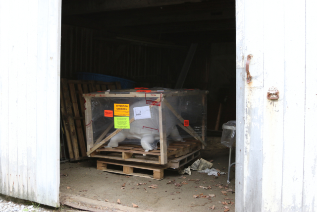 fiberglas crated turtle inside dark barn with white doors