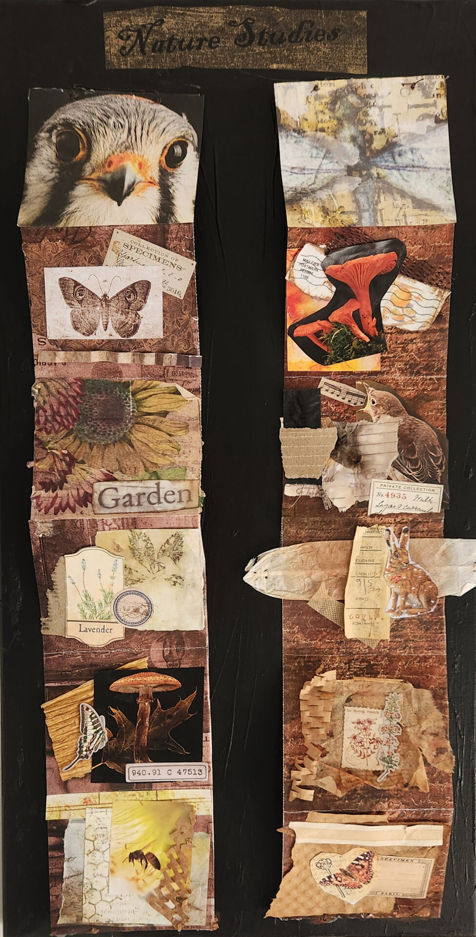 mixed media, primarily cloth, combined as a nature study