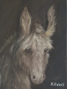 Donkey portrait, head shot
