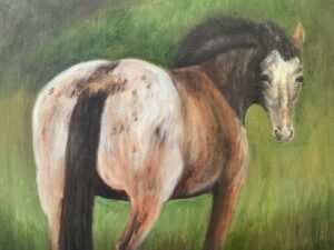 horse in a field from back side looking back at you