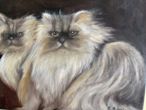 Two long haird cats with shades of gold, white and black in their hair