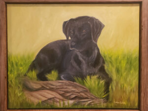 black dog with long ears sitting in the grass