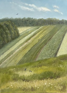 A field of grasses and wildflowers with 2 crows that overlooks rows of planted vegetable crops ending at a tree line a flock of crows flies overhead in a blue sky with only sparse clouds